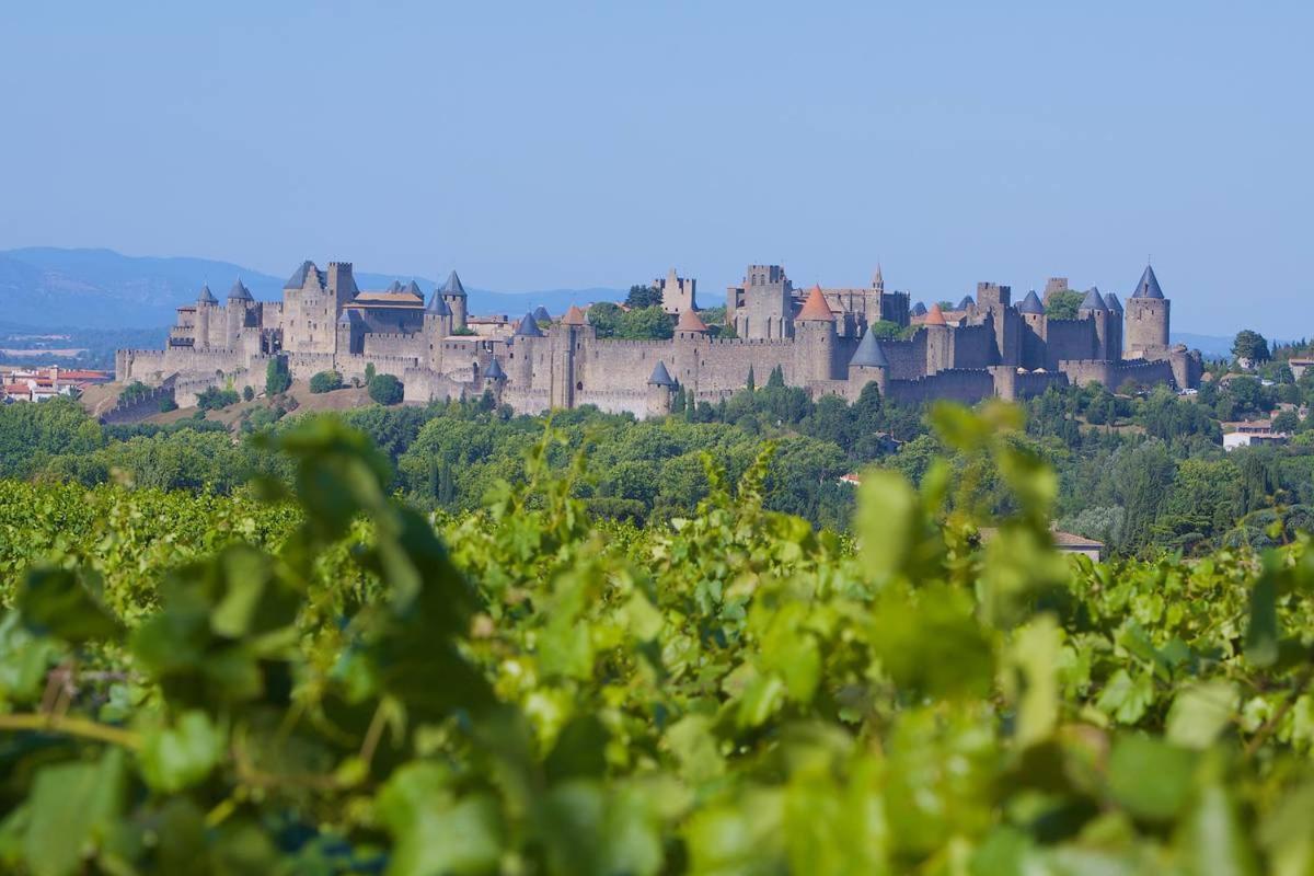 Apartmán Tout Confort ! Calme, Climatisation, Parking Gratuit, Grande Terrasse, Ascenseur, Wifi Carcassonne Exteriér fotografie